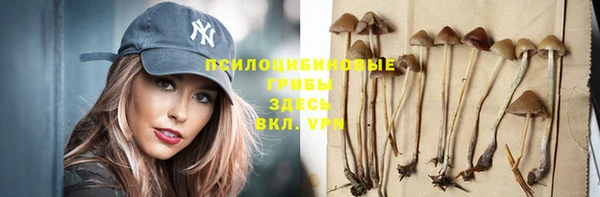 спайс Надым