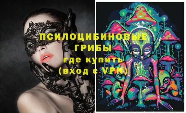 спайс Надым