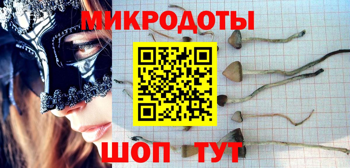 Псилоцибиновые грибы мицелий Бахчисарай